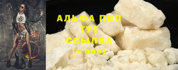 гашик Нефтегорск