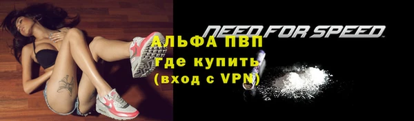 спиды Нея