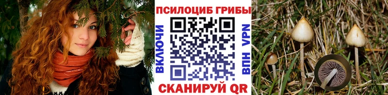 Галлюциногенные грибы Cubensis  Ревда 