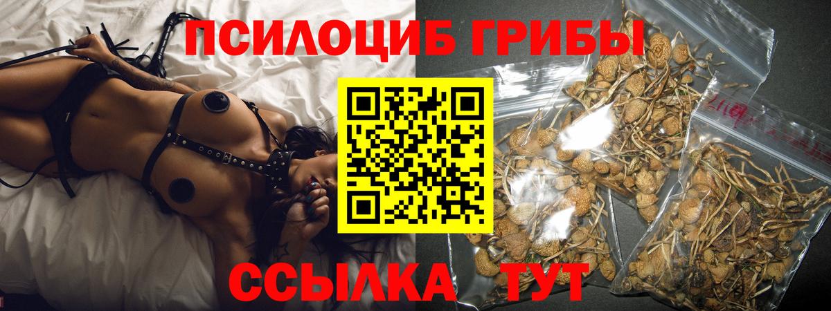 Галлюциногенные грибы Psilocybe  Ревда  даркнет сайт  Галлюциногенные грибы прущие грибы 