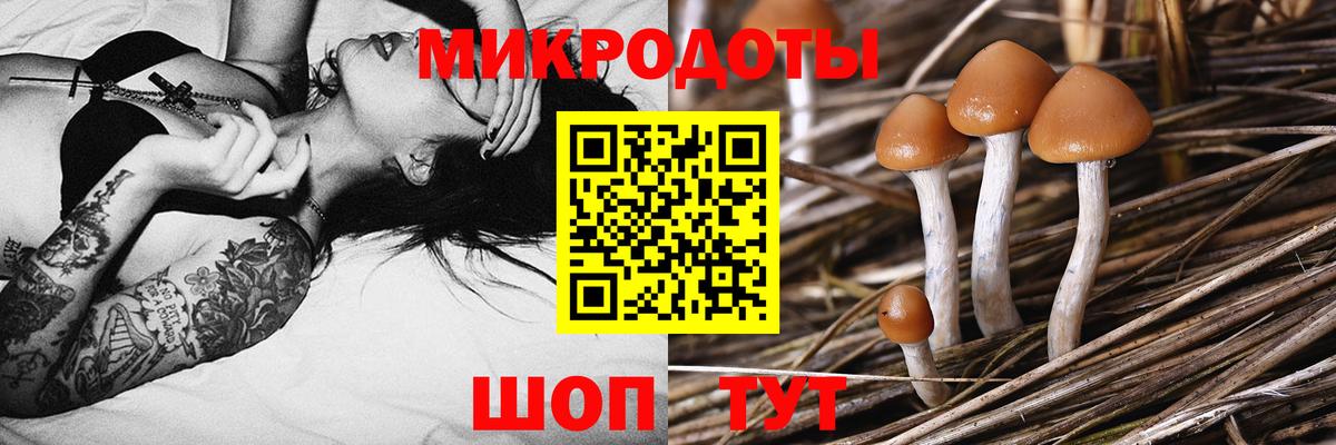 Галлюциногенные грибы Cubensis Ревда